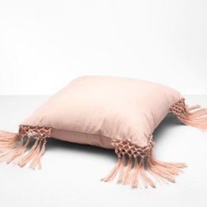 Pair of Opalhouse blush velvet throw pillows